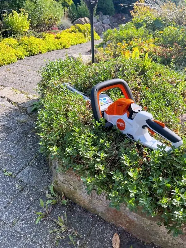 Orange-weiße STIHL Akku-Heckenschere, abgelegt auf einem frisch in Form geschnittenen niedrigen Beet neben einem gepflasterten Gartenweg